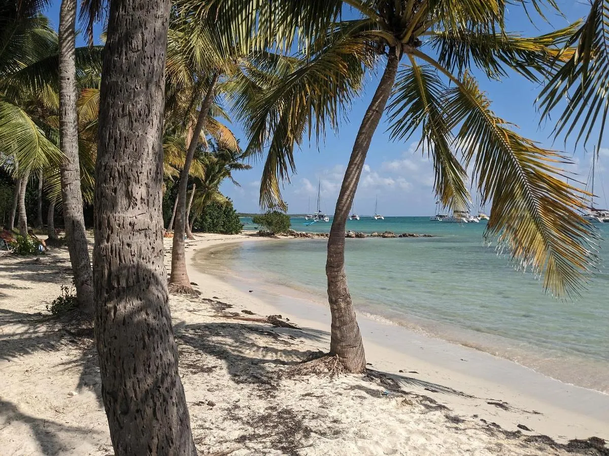 Le Blumarines Apartment Saint-Francois  Guadeloupe